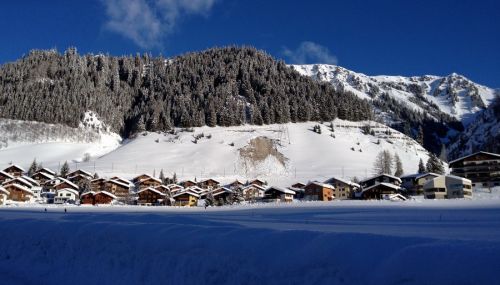 26. Januar 2012
