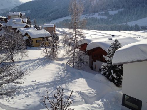 29. Januar 2012

