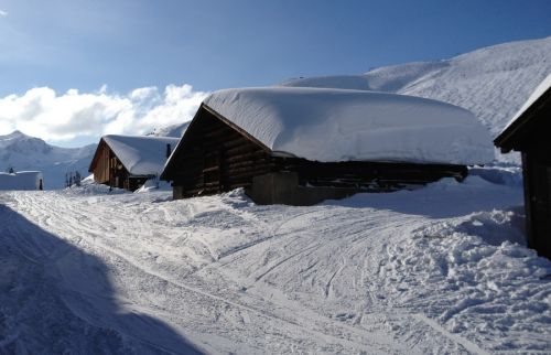 29. Januar 2012
