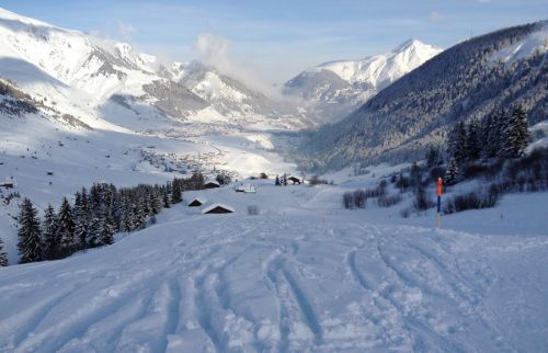 29. Januar 2012
