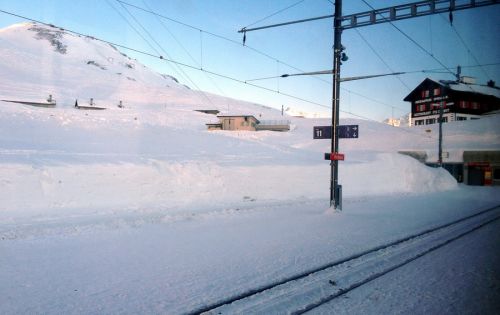 12. Februar 2012
