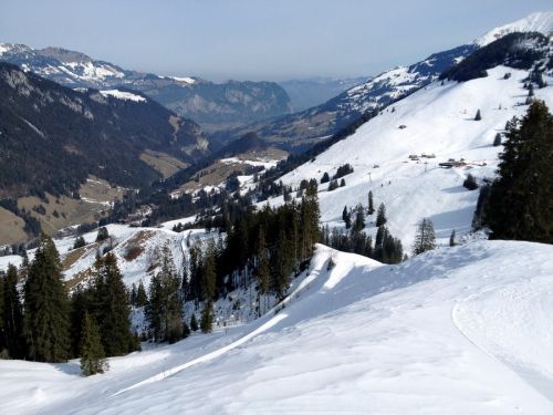 Wiriehorn, 7. März 2012
