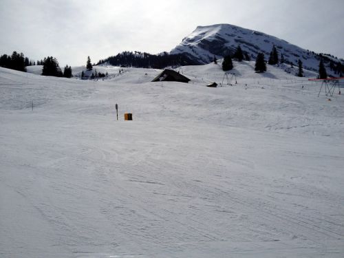 Wiriehorn, 7. März 2012
