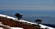 20120223-b-audibergue-0663c.jpg