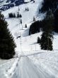 20120307-a-wiriehorn-2782.jpg