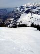 20120307-a-wiriehorn-2785.jpg