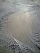 20120307-a-wiriehorn-2786.jpg