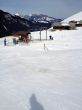 20120307-a-wiriehorn-2791.jpg