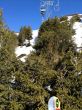 20120402-wengen-3371.jpg