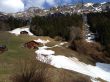 20120402-wengen-3399.jpg