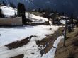 20120402-wengen-3400.jpg