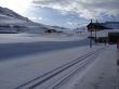 20120412-a-gemsstock-3618.jpg