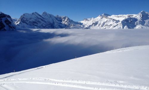 Lauberhorn, 25. Januar 2013
