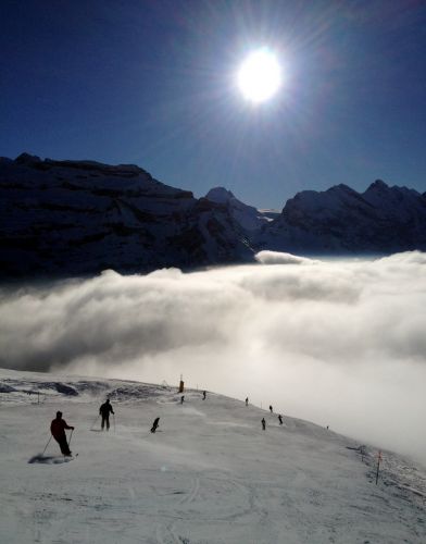 25. Januar 2013
