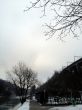 20130124-bern-1059.jpg