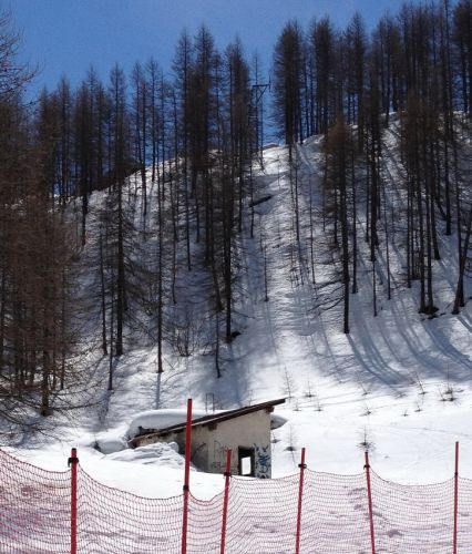 LSAP-Lift
