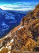 20131216-wengen-4304.jpg