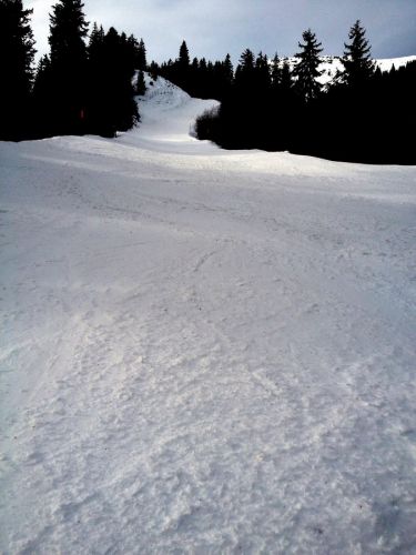 Disentis, 8.1.2014
