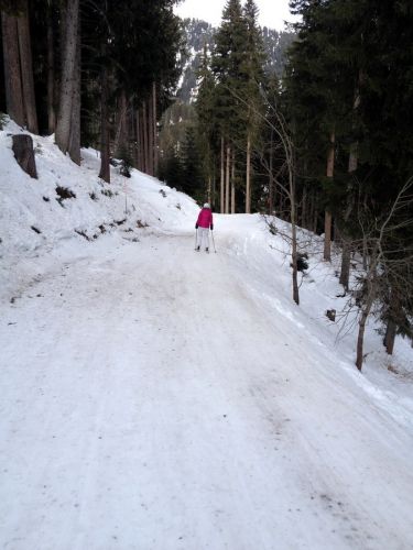 Disentis, 8.1.2014
