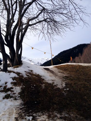 Disentis, 8.1.2014

