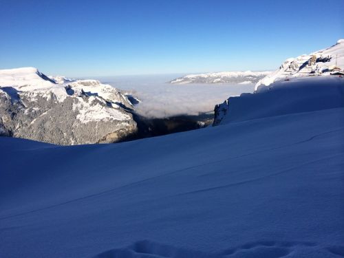 22. Januar 2014
