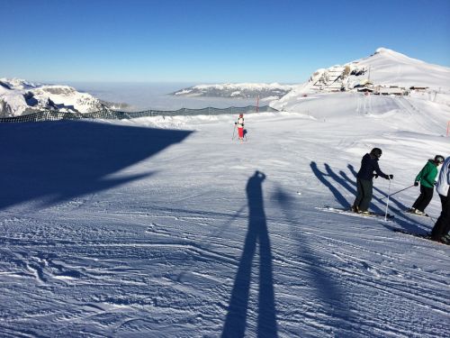 22. Januar 2014
