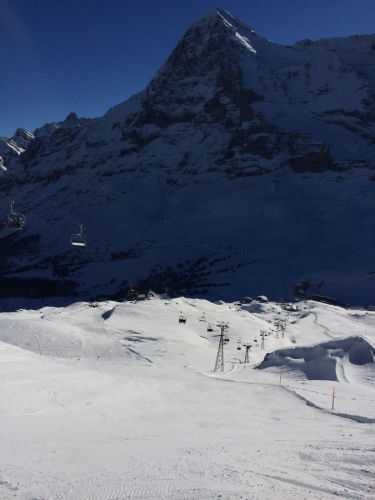 22. Januar 2014
