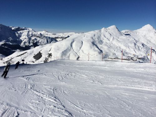 22. Januar 2014
