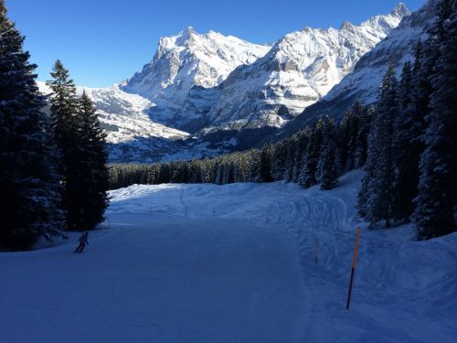 22. Januar 2014
