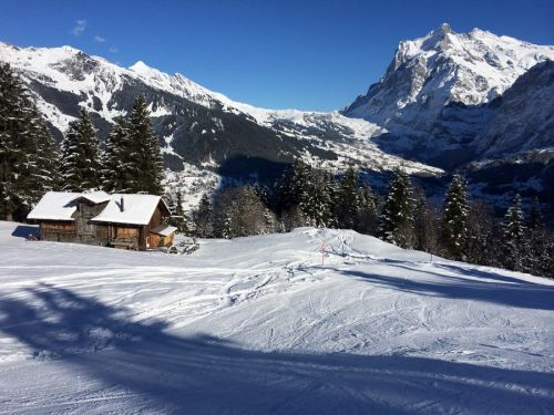 22. Januar 2014
