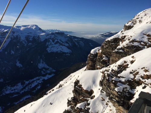 22. Januar 2014
