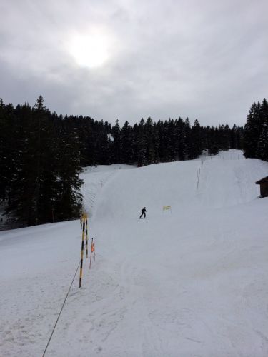 Selital, 10.2.2014

