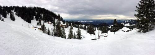Selital, 10.2.2014
