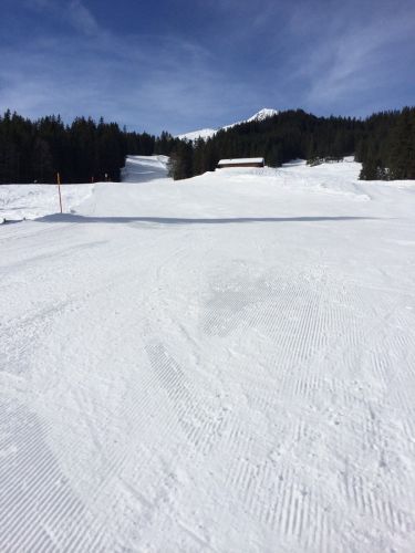 Wengen, 11.3.2014
