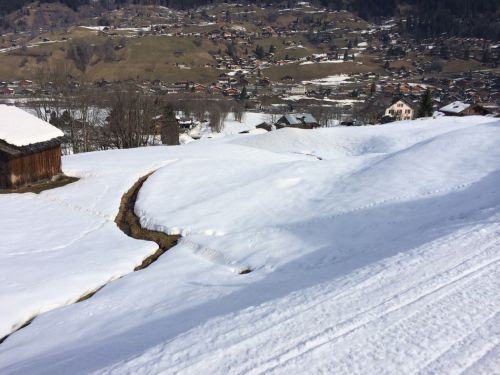 Wengen, 11.3.2014
