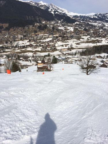 Wengen, 11.3.2014
