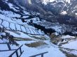20140311-wengen-9901.jpg