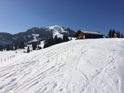 Zweisimmen, 14.3.2014
