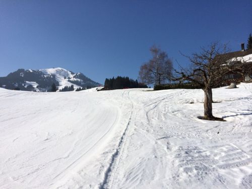 Zweisimmen, 14.3.2014

