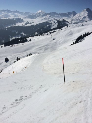 Zweisimmen, 14.3.2014
