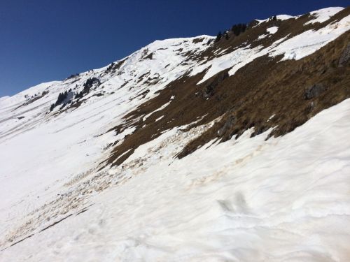 Zweisimmen, 14.3.2014
