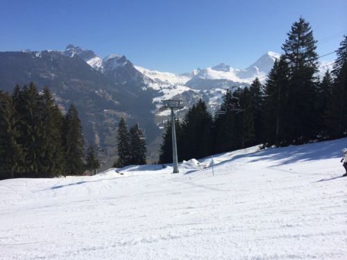 Zweisimmen, 14.3.2014
