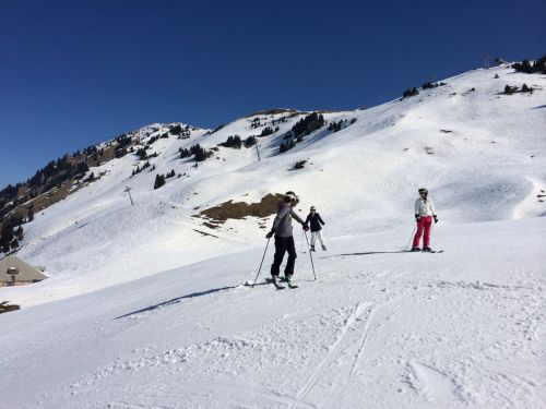 Zweisimmen, 14.3.2014
