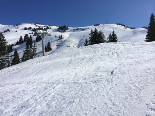 Zweisimmen, 14.3.2014

