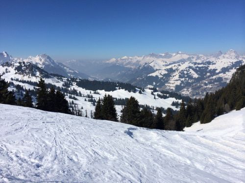 Zweisimmen, 14.3.2014
