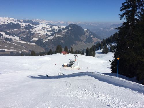 Zweisimmen, 14.3.2014
