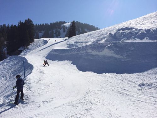 Zweisimmen, 14.3.2014
