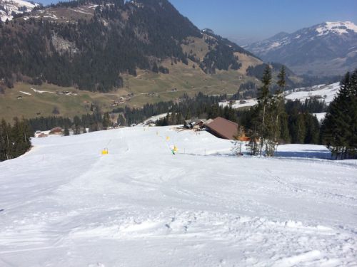 Zweisimmen, 14.3.2014
