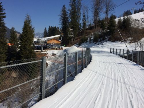 Zweisimmen, 14.3.2014
