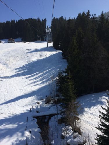 Zweisimmen, 14.3.2014
